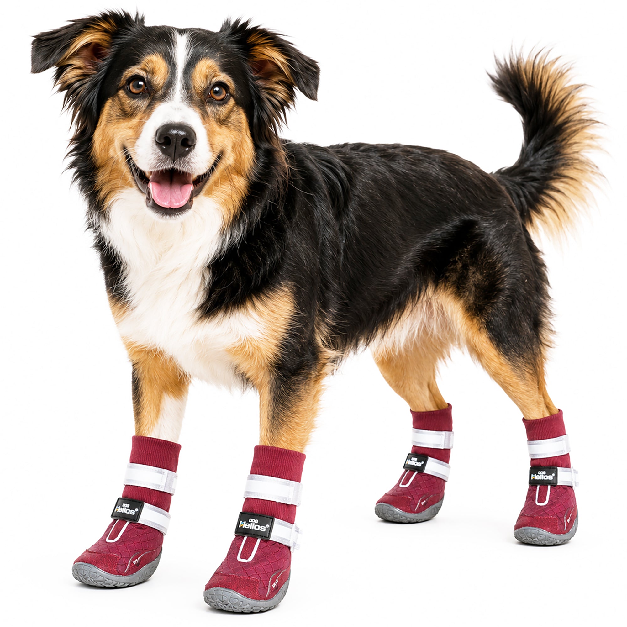 Dog Helios 'Traverse' Premium Grip High-Ankle Outdoor Dog Boots - Red - Image 4