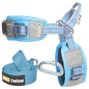 Dog Helios 'Geo-turf' Performance Adjustible and Reflective Dog Harness and Leash - Blue