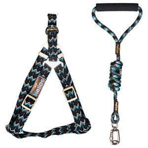 Dog Helios 'Surfside' Adjustable Dog Harness and Leash - Black