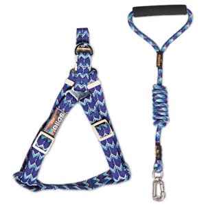 Dog Helios 'Surfside' Adjustable Dog Harness and Leash - Blue