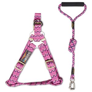 Dog Helios 'Surfside' Adjustable Dog Harness and Leash - Pink