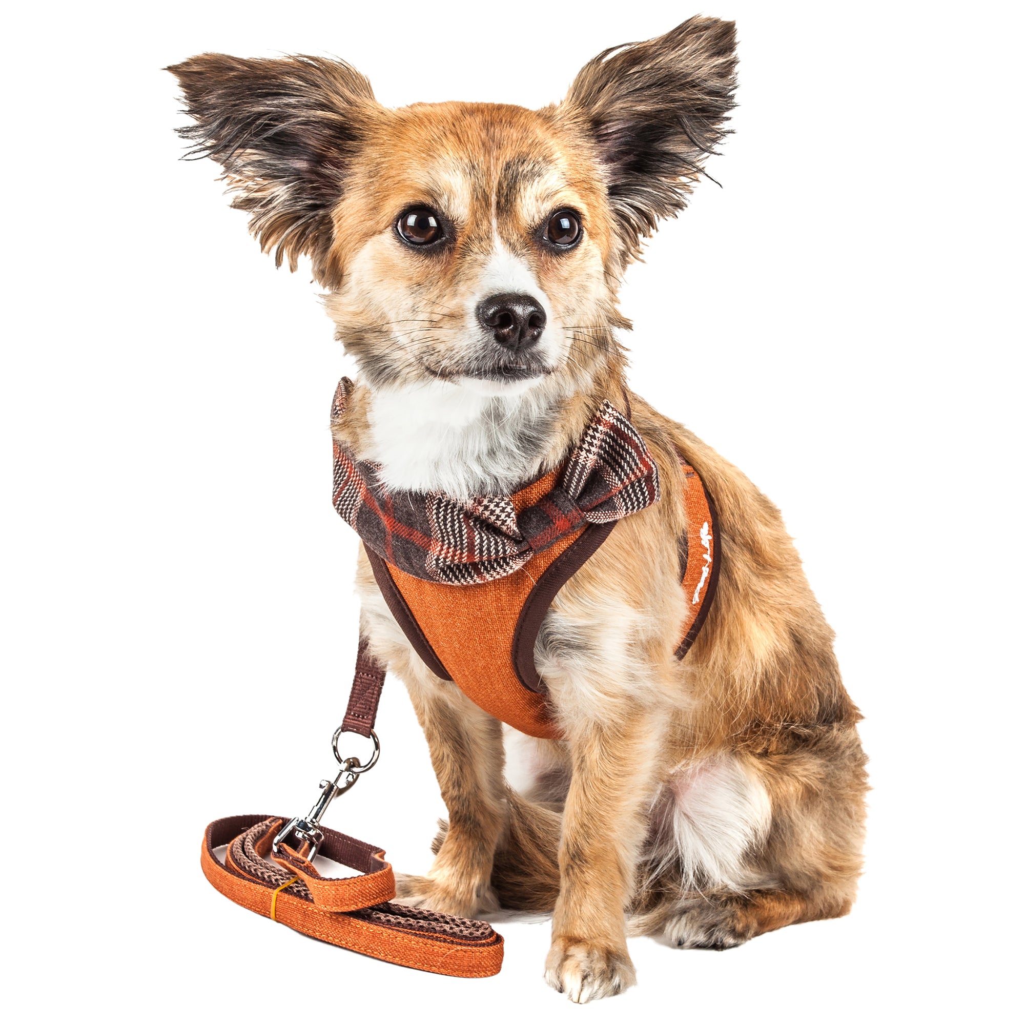 Pet Life ® Luxe 'Pawsh' 2-In-1 Mesh Reversed Adjustable Dog Harness-Leash W/ Fashion Bowtie - Image 5
