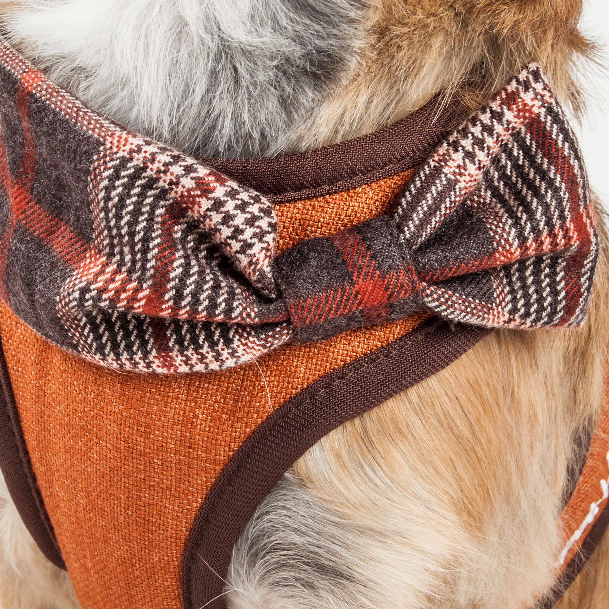 Pet Life ® Luxe 'Pawsh' 2-In-1 Mesh Reversed Adjustable Dog Harness-Leash W/ Fashion Bowtie - Image 7