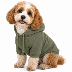 Pet Life ® 'American Classic' Fashion Plush Cotton Hooded Dog Sweater - Green