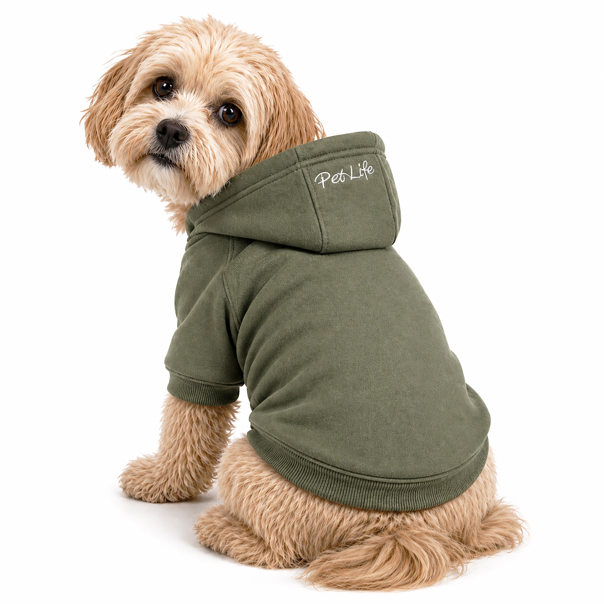 Pet Life ® 'American Classic' Fashion Plush Cotton Hooded Dog Sweater - Green - Image 4