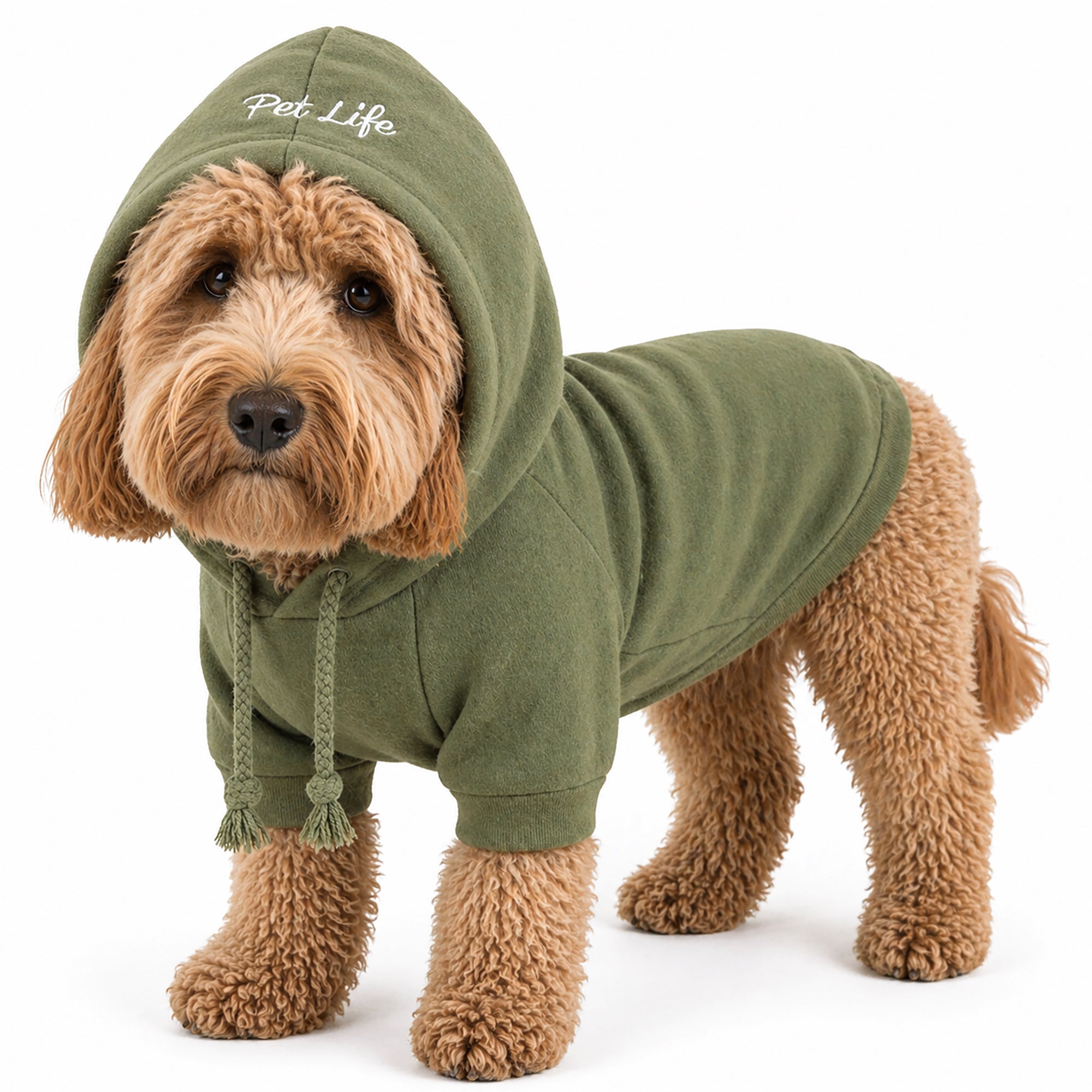 Pet Life ® 'American Classic' Fashion Plush Cotton Hooded Dog Sweater - Green - Image 5