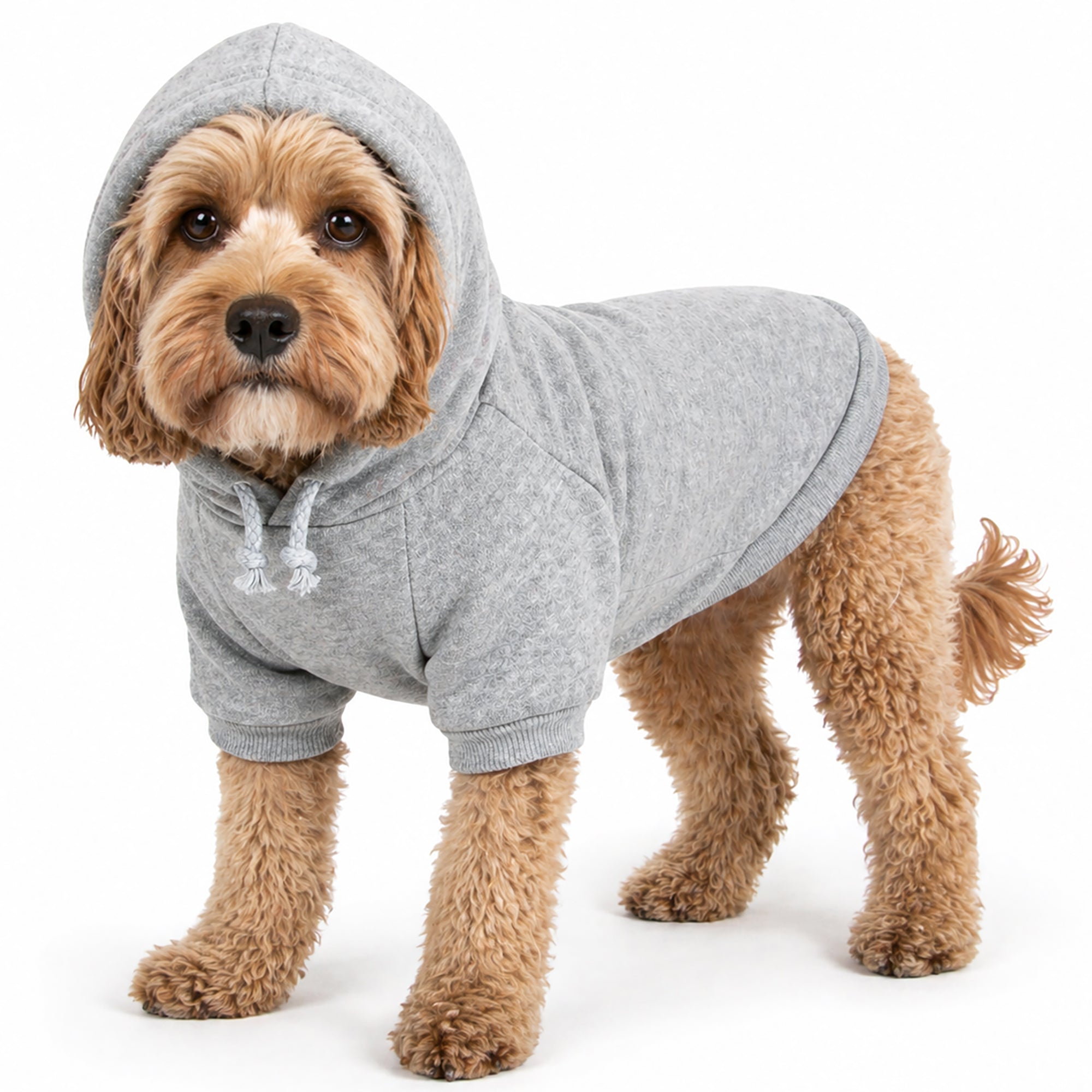 Pet Life ® 'American Classic' Fashion Plush Cotton Hooded Dog Sweater - Grey - Image 5