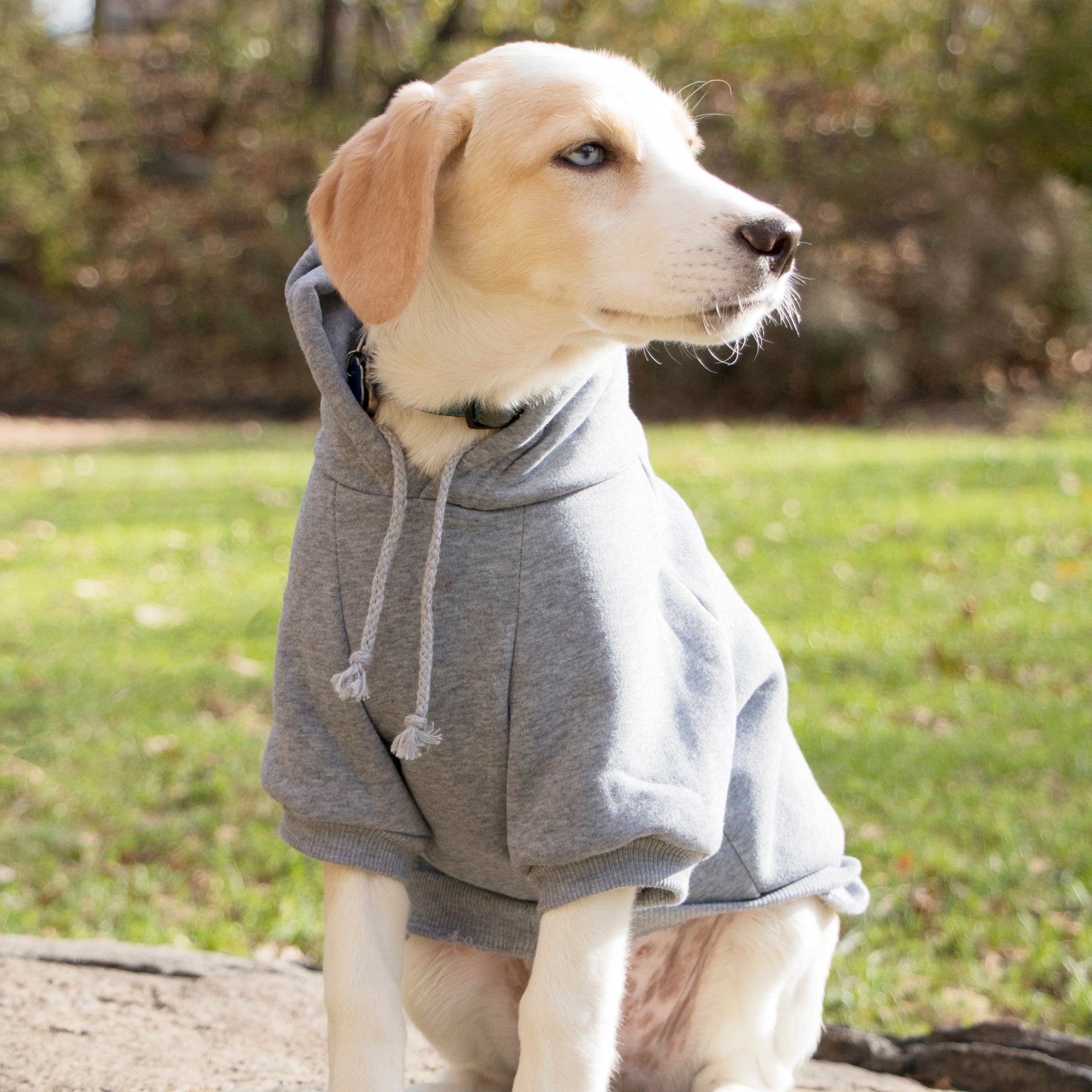 Pet Life ® 'American Classic' Fashion Plush Cotton Hooded Dog Sweater - Grey - Image 7