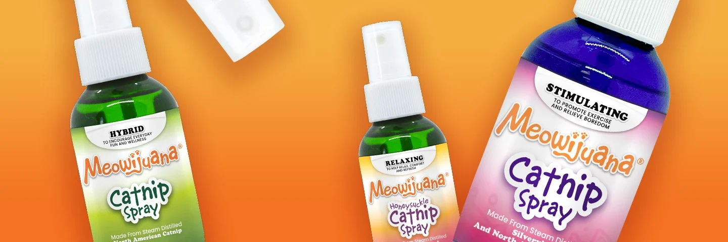 Catnip Sprays and Bubbles