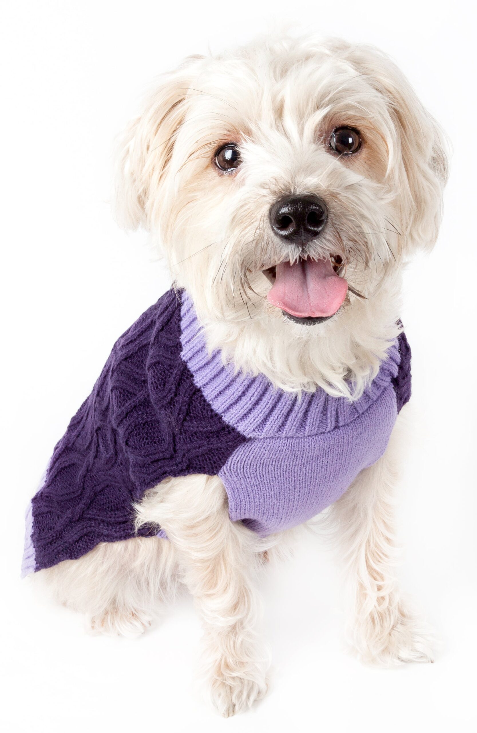 Pet Life ® Oval Weaved Heavy Knitted Fashion Designer Dog Sweater - Image 4