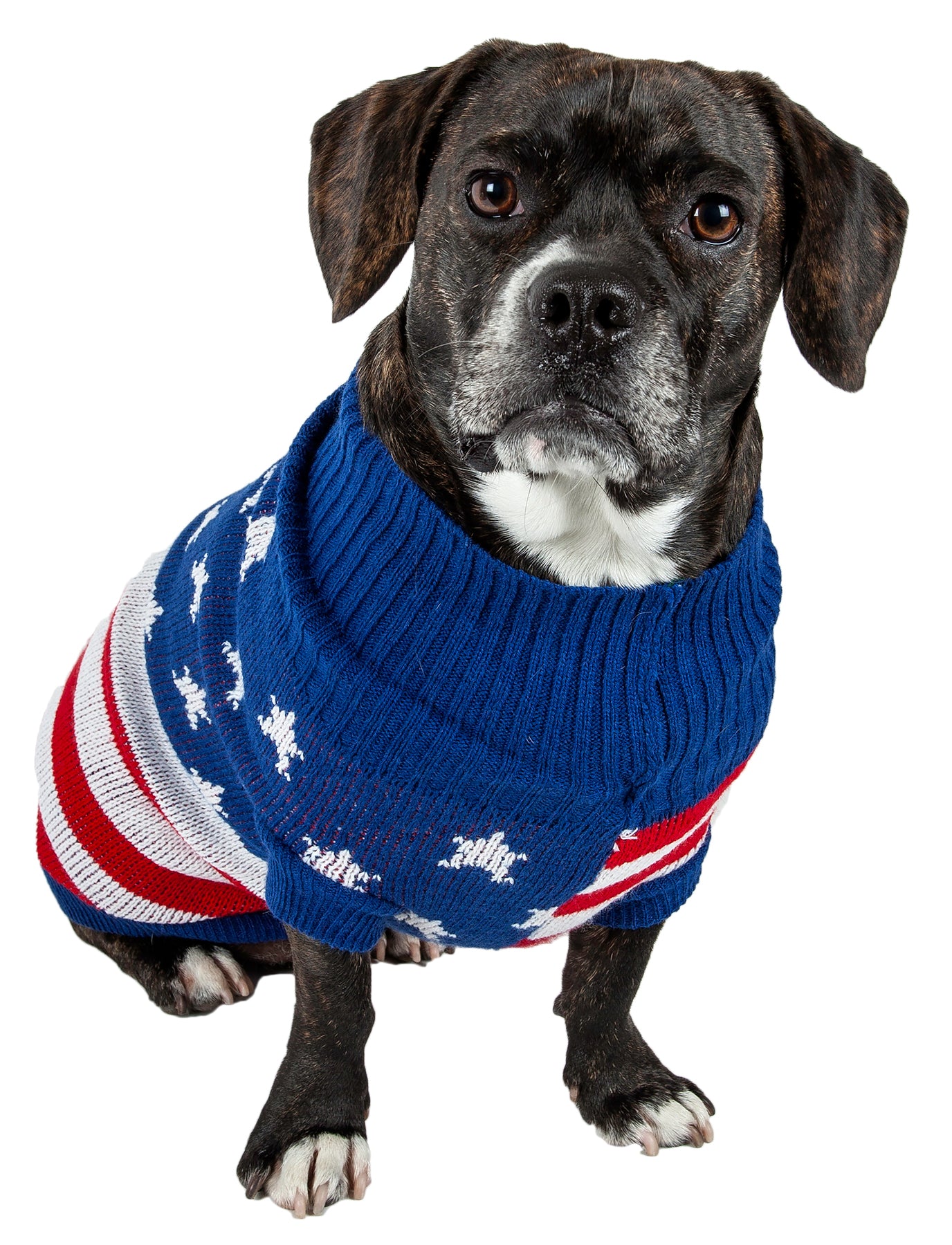 Pet Life ® 'Patriot Independence Star' Heavy Knitted Fashion Ribbed Turtle Neck Dog Sweater - Image 4