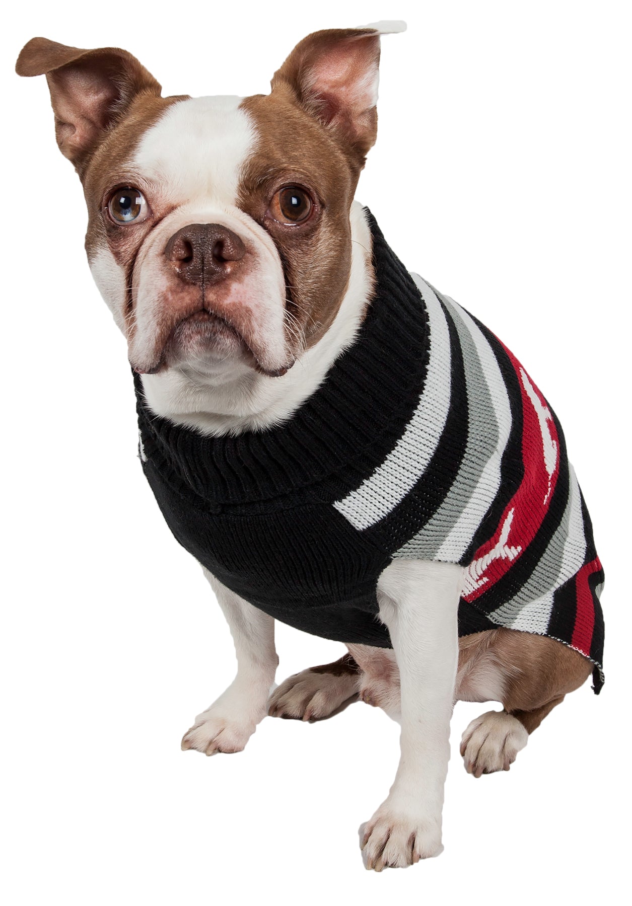 Pet Life ® Dog Patterned Fashion Striped Ribbed Turtle Neck Dog Sweater - Image 4