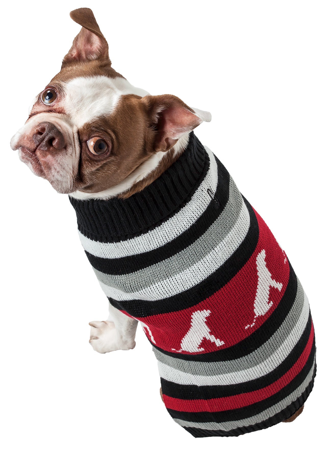 Pet Life ® Dog Patterned Fashion Striped Ribbed Turtle Neck Dog Sweater - Image 5