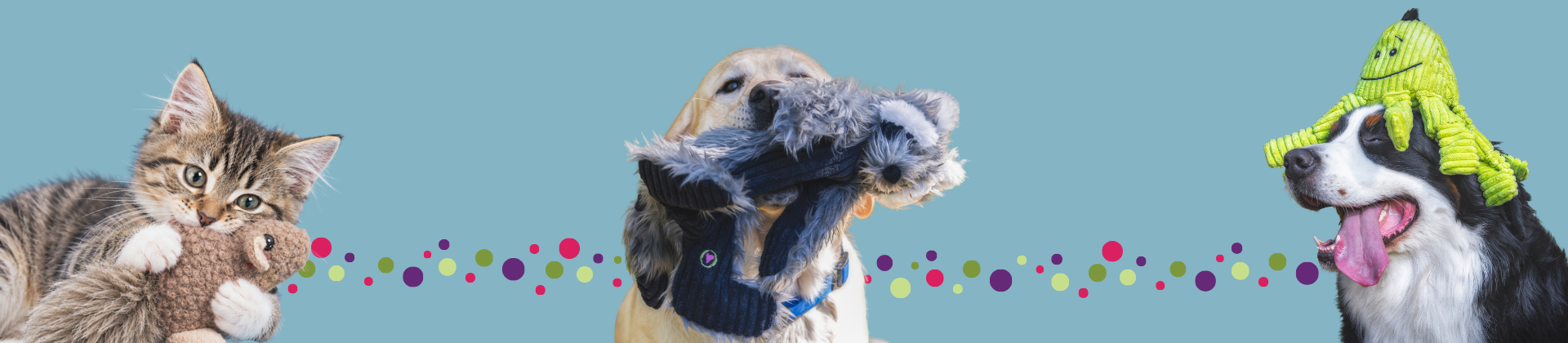 HuggleHounds® & HuggleKats®